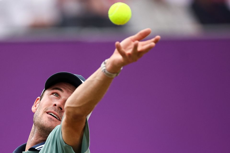 哈兰德在欧 哈兰德在欧