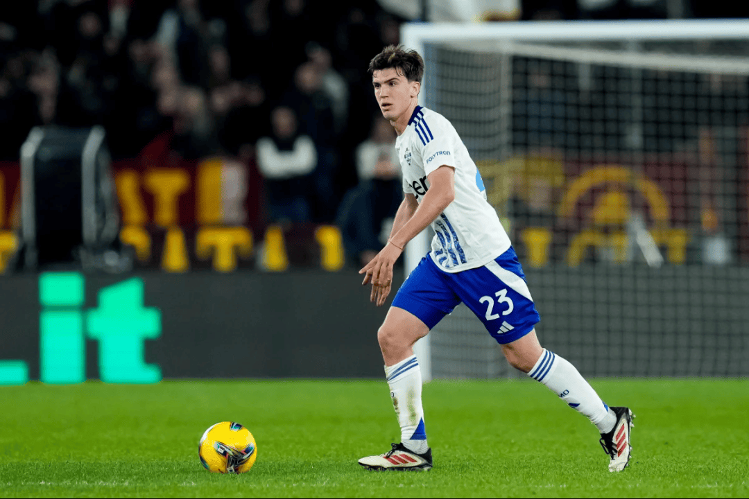 如林的NB 如林的NB